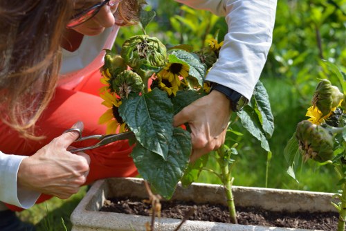 Professional maintaining a lush and vibrant garden landscape