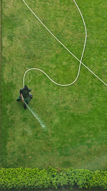An aerial view of a gardener watering a well-maintained lawn with a garden hose, near garden beds bordered by low, neatly trimmed hedges. The lawn has a consistent green color with visible mowing line